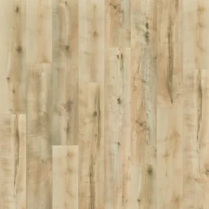 All American Chesapeake - All American Premium in Vermont Maple